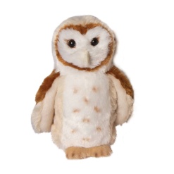 Rafter Barn Owl 8 by Douglas