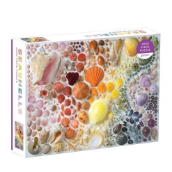 Rainbow Seashells by Galison
