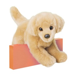Sandy Golden Retriever 12 by Douglas