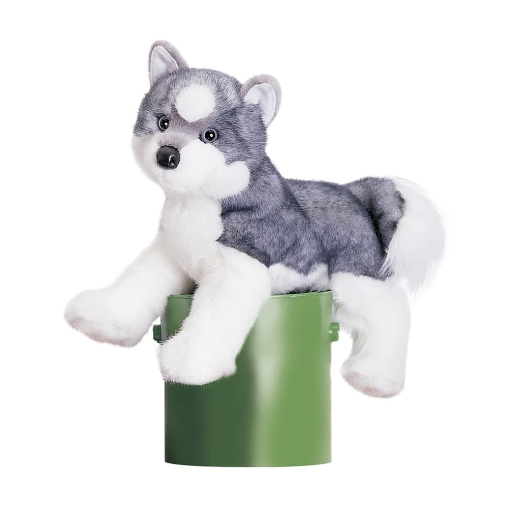 Sasha Husky 16 by Douglas