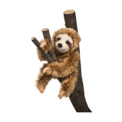 Simon Sloth 8 by Douglas