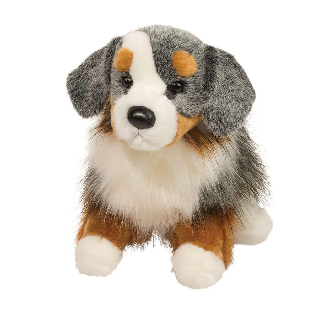 Sinclair Australian Shepherd 16 by Douglas
