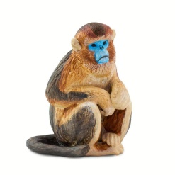 Snub Nosed Monkey by Safari