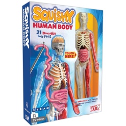 Squishy Human Body by SmartLab