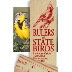 State Birds Ruler by Rich Frog