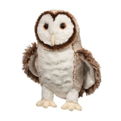 Swoop Barn Owl 10 by Douglas