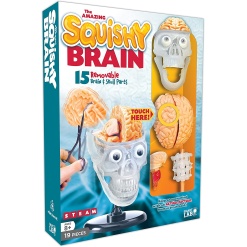 The Amazing Squishy Brain by SmartLab