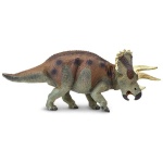 Triceratops by Safari