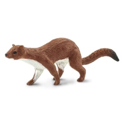 Weasel by Safari