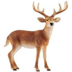 White Tailed Deer Buck Figure by Schliech