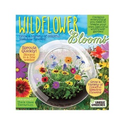 Wildflower Blooms Terrarium by Dunecraft