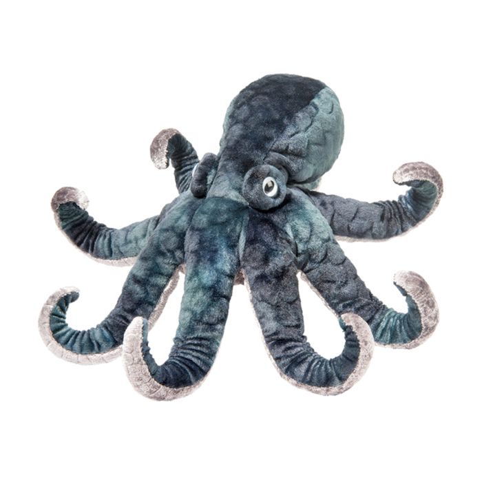 Winky Octopus 13 by Douglas