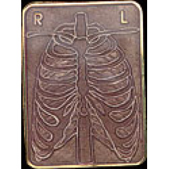 Xray Pin by WM Spear Designs
