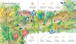 1001 Bugs to Spot Sticker Book by Usborne 1