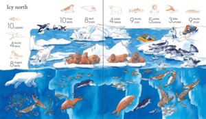 1001 Things to Spot in the Sea Sticker Book by Usborne 3