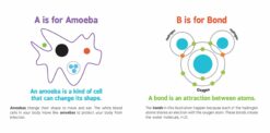 ABCs of Science by Baby University 1