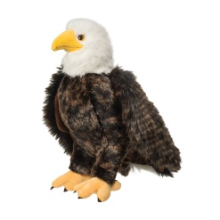 Adler Bald Eagle 12 by Douglas