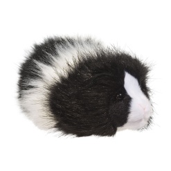 Angora Guinea Pig 8 by Douglas
