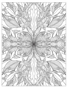 Animal Kaleidoscope Designs Coloring Book by Dover Publications 1