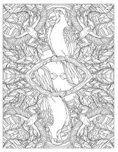 Animal Kaleidoscope Designs Coloring Book by Dover Publications 2