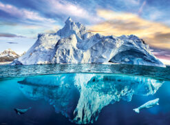 Arctic Puzle by Eurographics 1