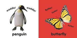 Baby Touch and Feel Animals by DK Publishing 1
