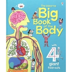 Big Book of the Body by Usborne