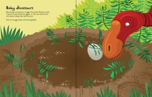 Big Dinosaur Sticker Book by Usborne 2