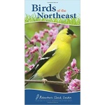 Birds of the Northeast Your Way to Easily Identify Backyard Birds by Adventure Publications