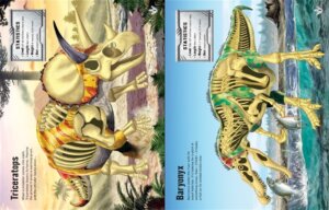 Build Your Own Dinosaurs Sticker Book by Usborne 1