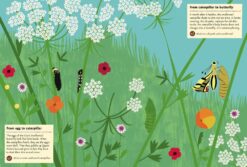 Butterflies of the World My Nature Sticker Activity Book by Princeton Architectural Press 1