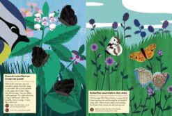 Butterflies of the World My Nature Sticker Activity Book by Princeton Architectural Press 2