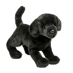 Chester Black Lab 12 by Douglas