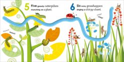 Counting with a Ladybug by DK Publishing 3