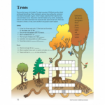 Crosswords Activity Workbook by School Zone 1