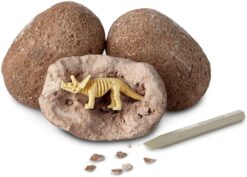 Dig It Up Dinosaur Skeletons by MindWare 1