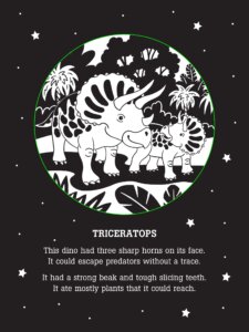 Dinos After Dark Bedtime Shadow Book by Peter Pauper Press 3
