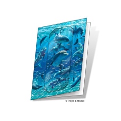 Dolphin 3D Card with Bookmark by Artgame