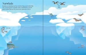First Sticker Book Narwhals by Usborne 1