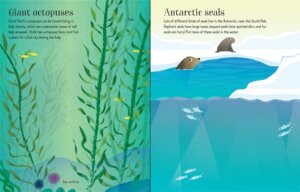 First Sticker Book Narwhals by Usborne 3