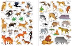 First Sticker Book Nature by Usborne 3