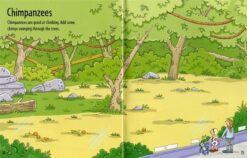 First Sticker Book Zoo by Usborne 3