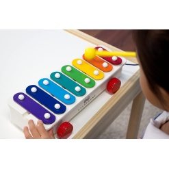 Fisher Price Xylophone by Fisher Price