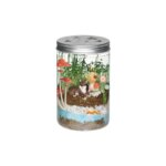 Glow NGrow Terrarium by Creativity for Kids 2