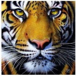 Golden Tiger Face Puzzle by Sunsout