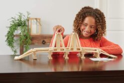 KEVA Brain Builders Deluxe by MindWare 2