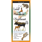Land Mammals of the Northeast by Earth Sky Water