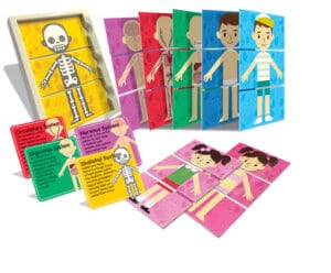 My Body Anatomy by Toysmith 1