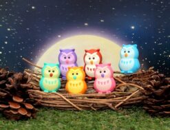 Owl Eraser by Iwako 1