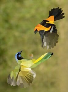 Paint by Sticker Birds by Workman 2